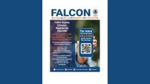 2025-01-19 FALCON